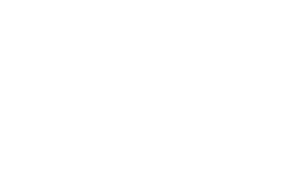 FEBU MULTISERVICES LOGO 